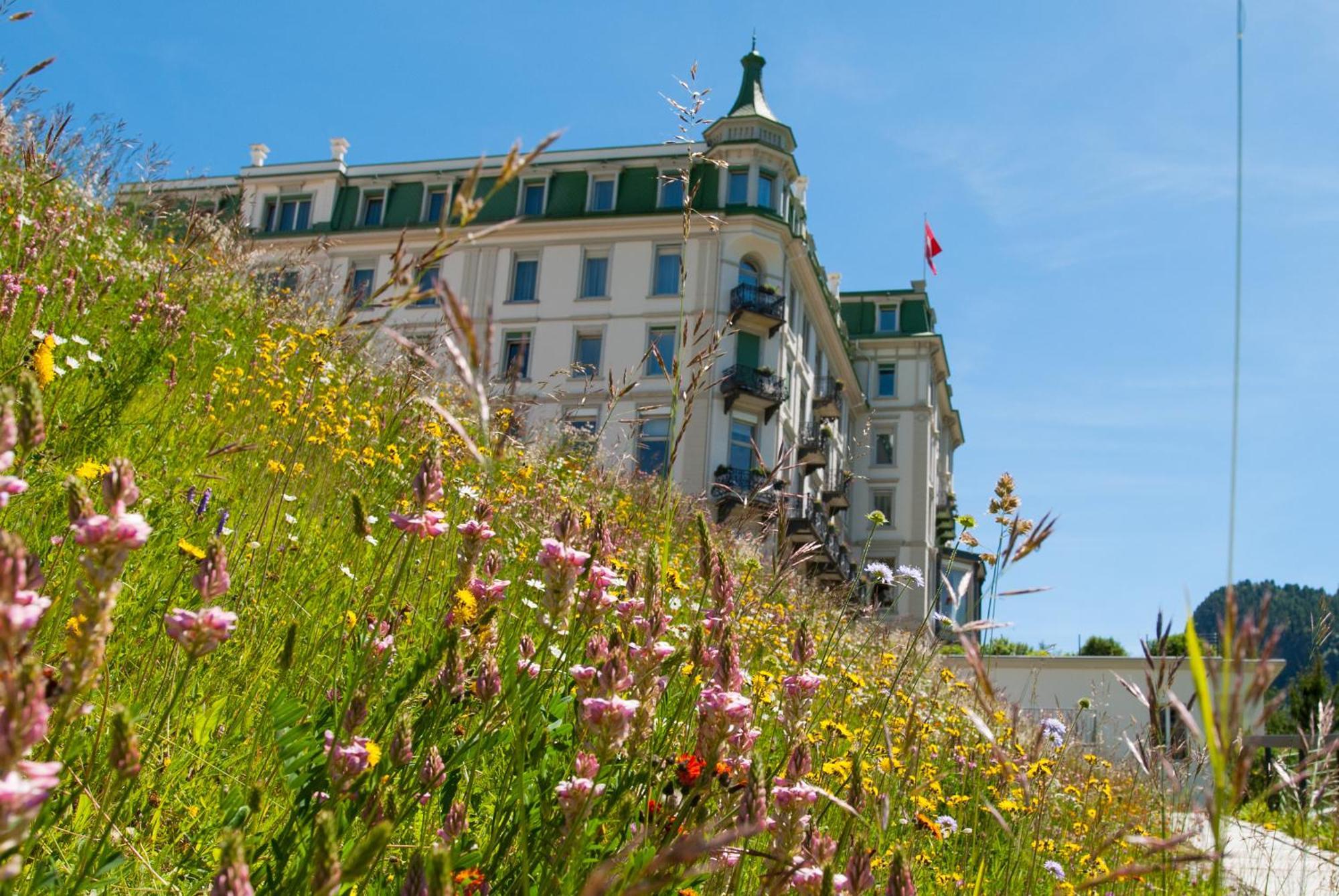 Grand Hotel Kronenhof Pontresina Exteriér fotografie